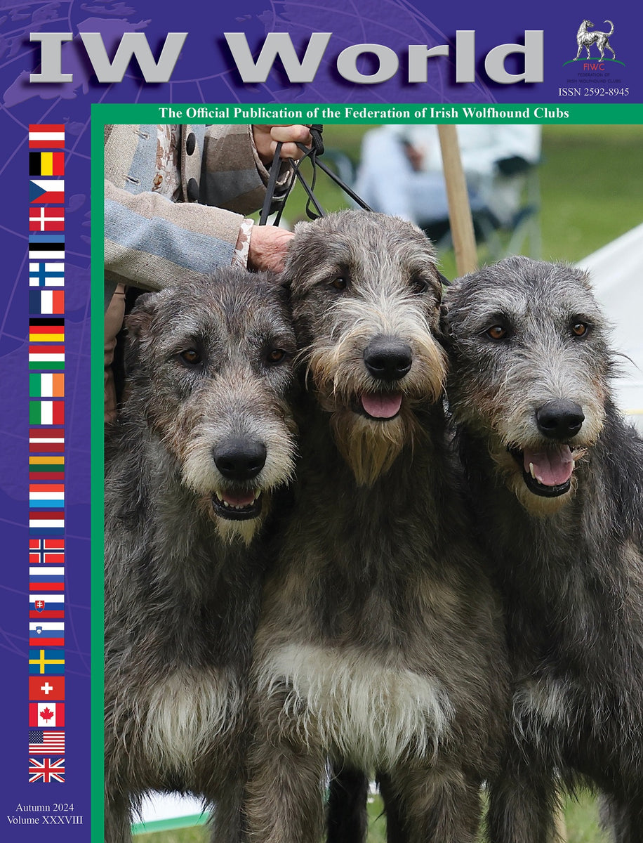 IW World Volume XXXVIII